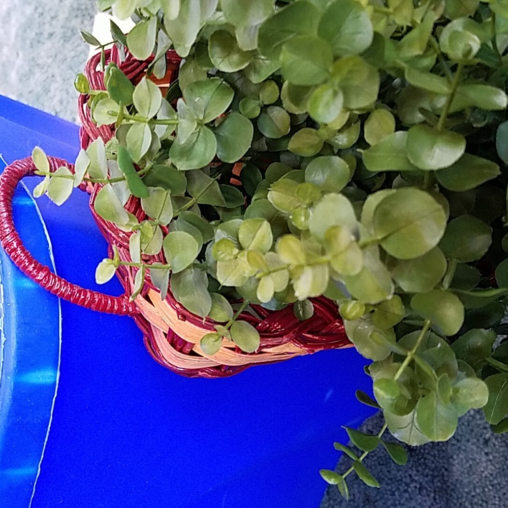 Cornucopia with Greenery - Picture 6 of 12